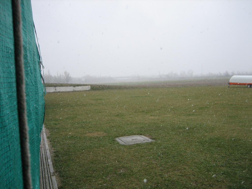 2006 (8)